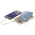 Sustainable Tech Gift: Power Bank