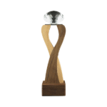 Ryoshu - Wooden and Crystal Award 1