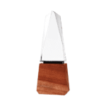 Tukiyo-Crystal-and-Wood-Trophy