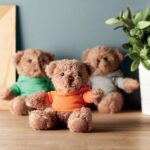 teddy bear gift ideas