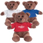 Teddy bear plush toy big