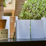 Sustainable seed paper soft cover notebooks