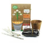 Promotional Plant A Pencil Kit with plantable pencils