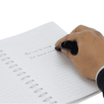 Bramble-Reusable-Notebook-Pen