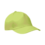 Zobo-5-Panel-Brushed-Cotton