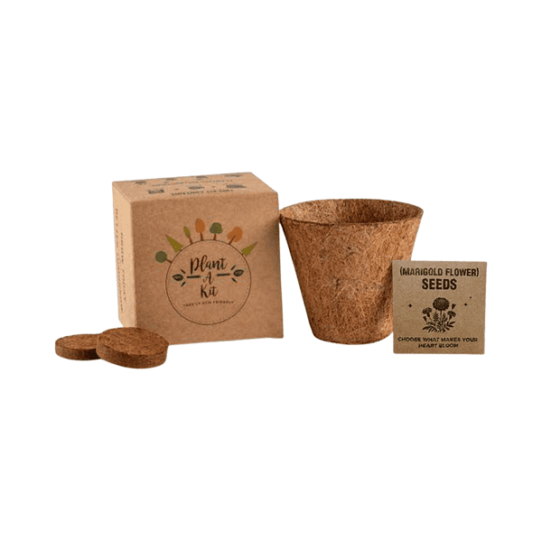 Auriss - All-In-One Plant Grow Kit 1 Auriss-All-In-One-Plant-Grow-Kit