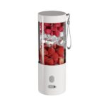 portable rechargeable smoothie blender